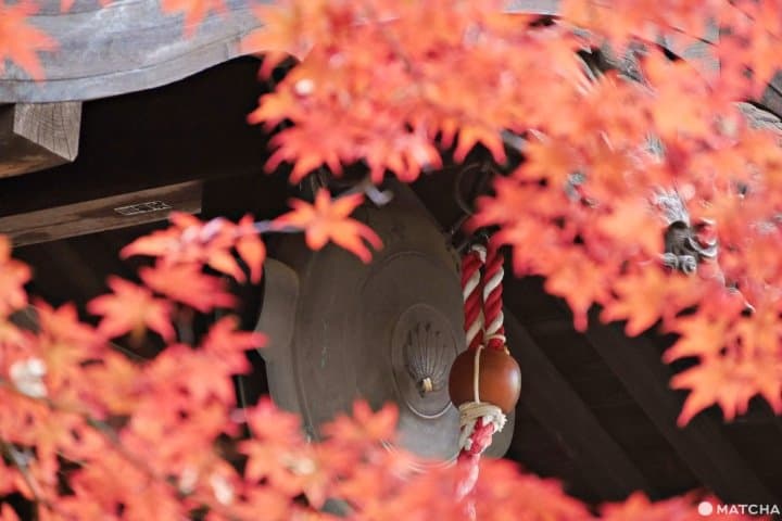 平林寺紅葉