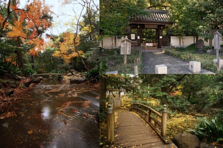 สวนนานุชิโนะทาคิ