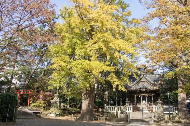逗子龜岡神社