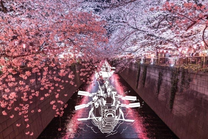 แข่งเรือมังกรในแม่น้ำเมกุโระ? 5 อีเวนท์ฝันกลางวันในโตเกียวของกองบรรณาธิการ MATCHA