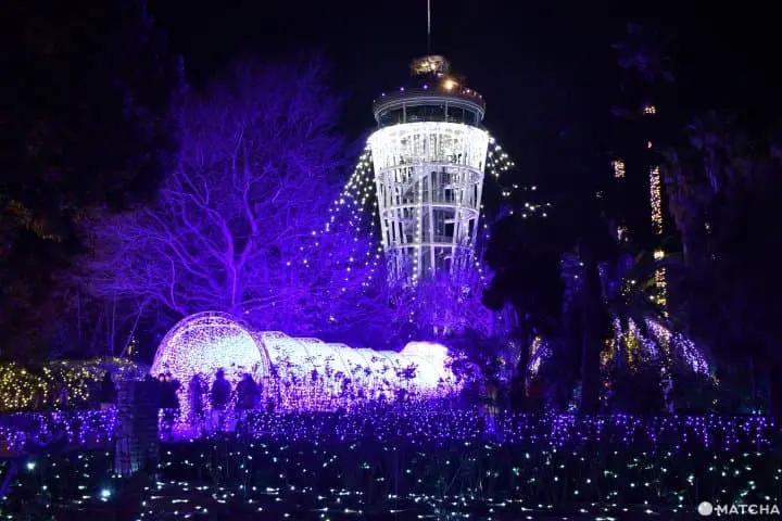 江之島夜間點燈+吊燈隧道