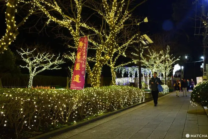 點燈的中津宮廣場主要道路