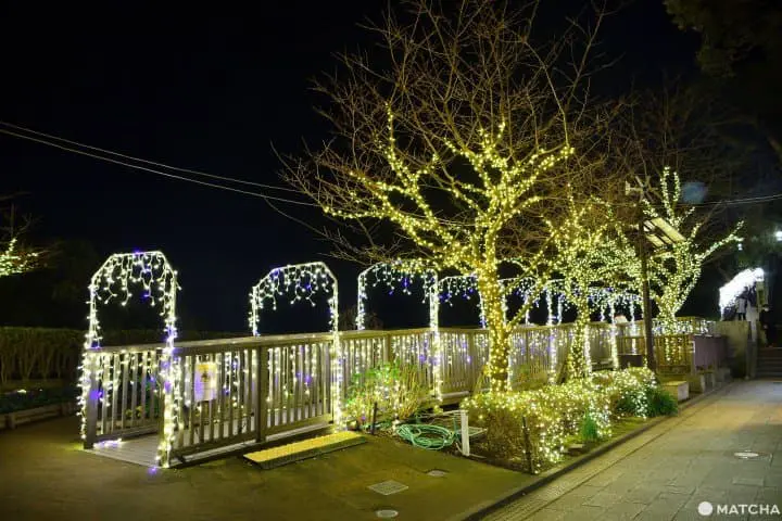 點燈的中津宮廣場會場