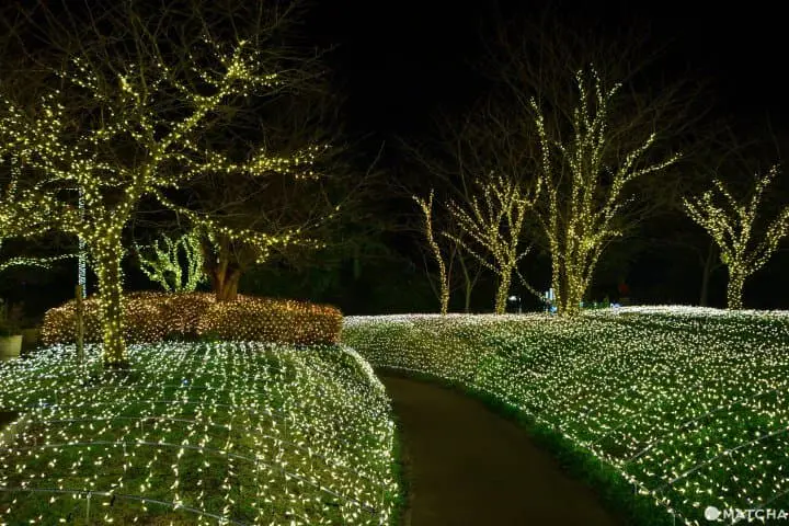 點燈的江之島龜岡廣場