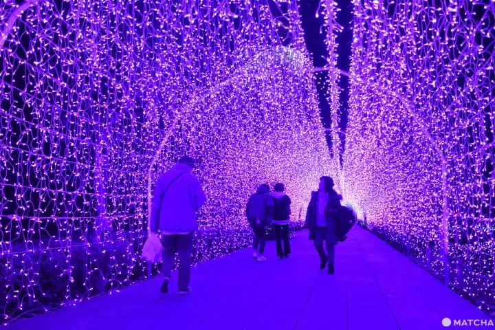 江之島點燈會場，湘南吊燈