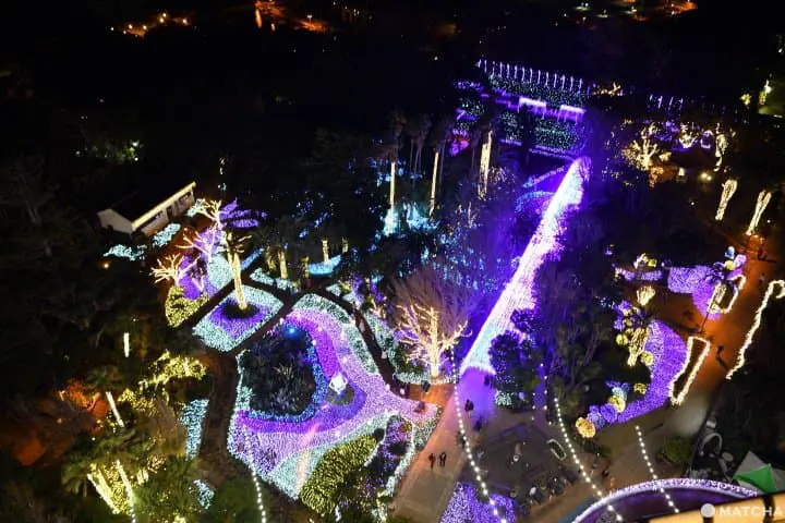 江之島點燈夜景俯瞰