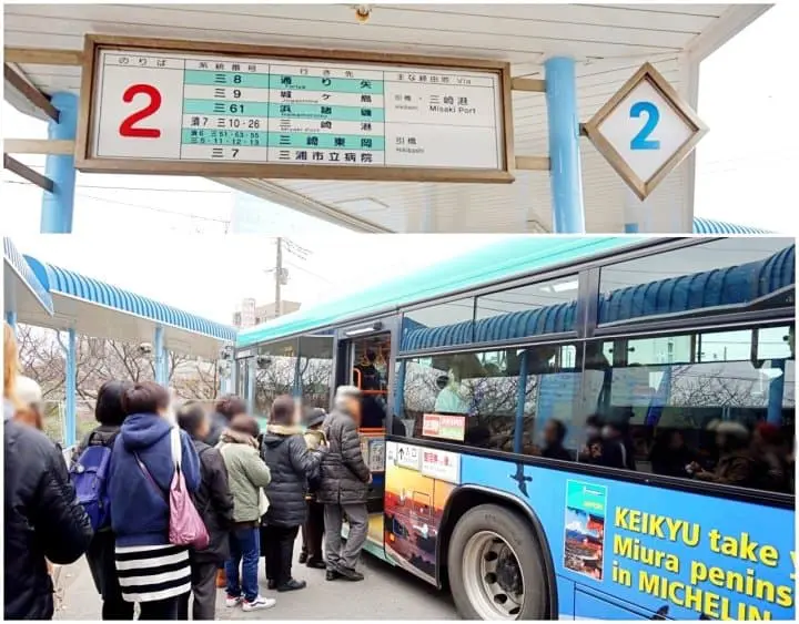 ทานปลามากุโร่อร่อยๆ ชมวิวทะเลสวยการันตีระดับโลก ด้วยตั๋วสุดคุ้ม