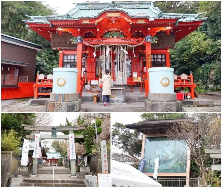 ทานปลามากุโร่อร่อยๆ ชมวิวทะเลสวยการันตีระดับโลก ด้วยตั๋วสุดคุ้ม