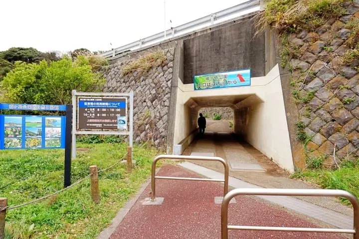 ทานปลามากุโร่อร่อยๆ ชมวิวทะเลสวยการันตีระดับโลก ด้วยตั๋วสุดคุ้ม