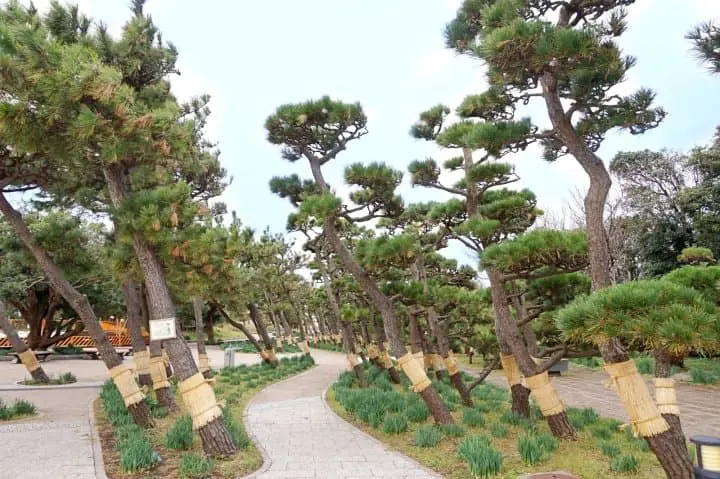 ทานปลามากุโร่อร่อยๆ ชมวิวทะเลสวยการันตีระดับโลก ด้วยตั๋วสุดคุ้ม