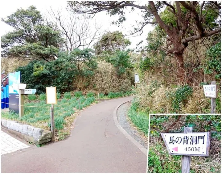 ทานปลามากุโร่อร่อยๆ ชมวิวทะเลสวยการันตีระดับโลก ด้วยตั๋วสุดคุ้ม