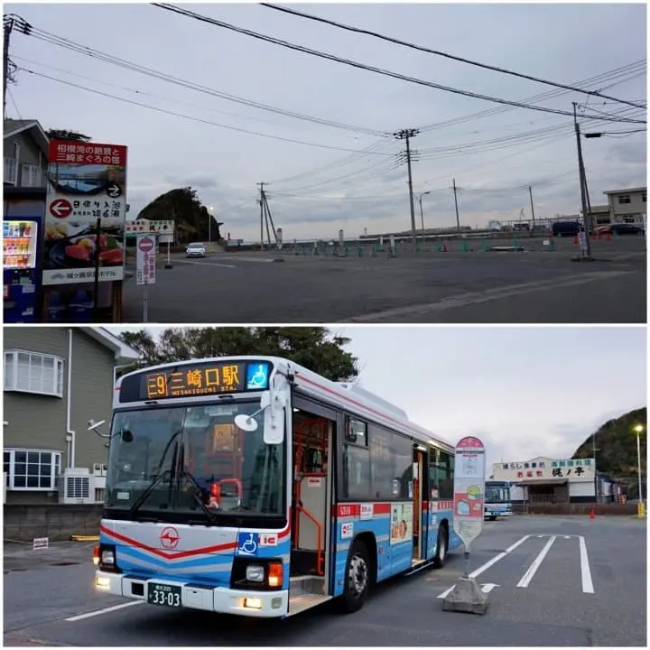 ทานปลามากุโร่อร่อยๆ ชมวิวทะเลสวยการันตีระดับโลก ด้วยตั๋วสุดคุ้ม