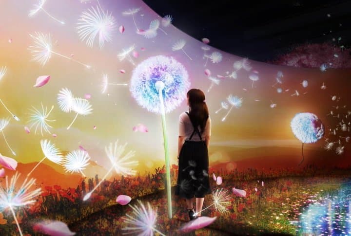 2020最早樱花「FLOWERS BY NAKED」东京日本桥