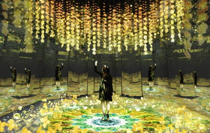 2020「 FLOWERS BY NAKED」日本桥绚烂光雕秀