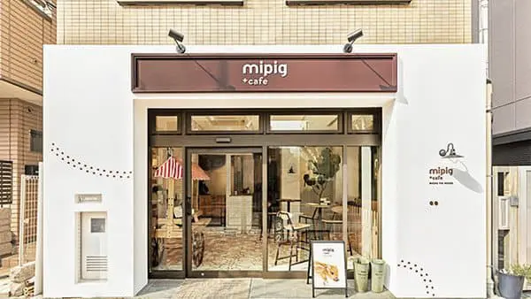 日本超人氣「小豬Cafe」原宿開新分店！只需要1000日圓就可以跟小豬玩 超治癒～