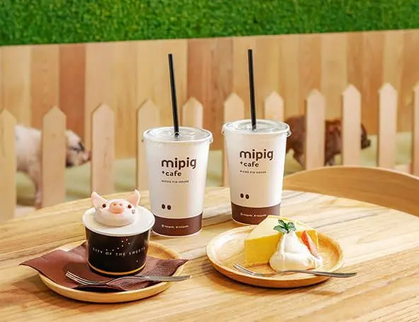 日本超人氣「小豬Cafe」原宿開新分店！只需要1000日圓就可以跟小豬玩 超治癒～