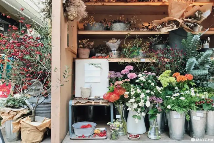 D_MALL京都店介紹