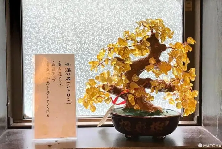 Yumori No Sato - Idillic Blackwater Hot Spring In Tokyo