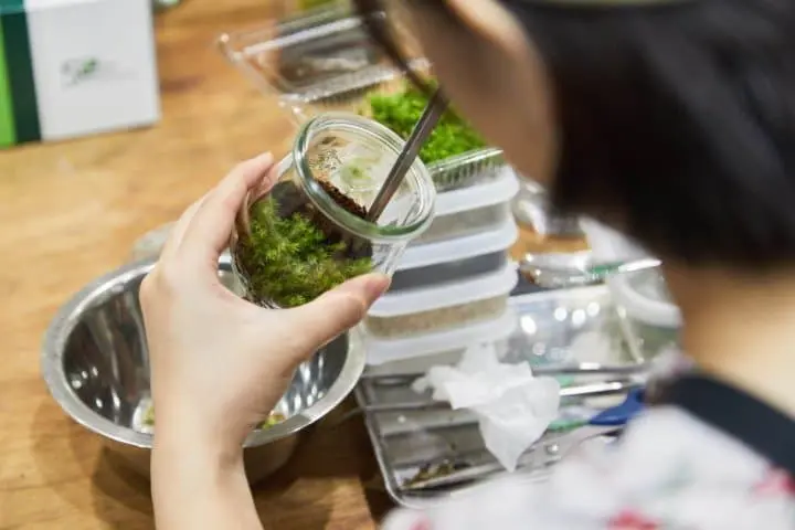 creema全日本最大規模手作展