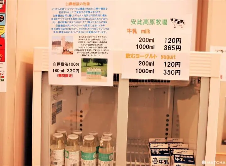 安比高原溫泉名產白樺樹液