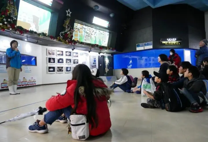 京急油壺海洋公園魚學校