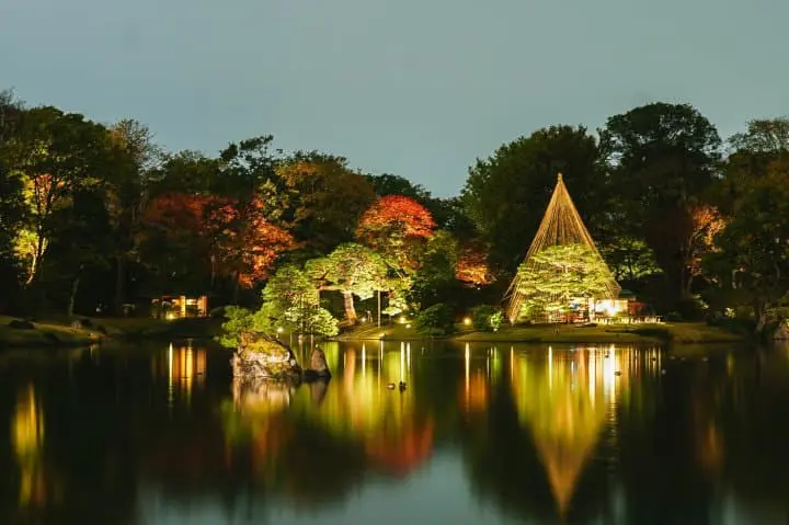 Japan's Seasons in Photos - November