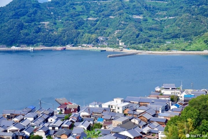 歷史展望公園