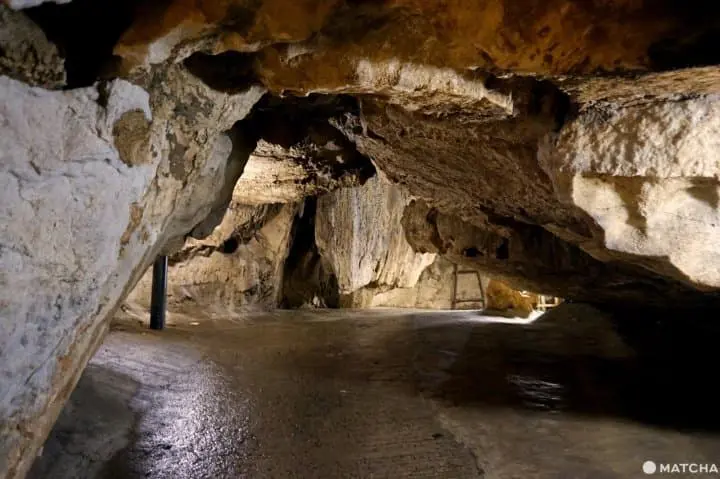あぶくま洞で日本の洞窟へ突入！？