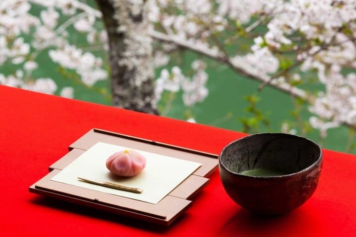 Hoshinoya Kyoto ในฤดูใบไม้ผลิ