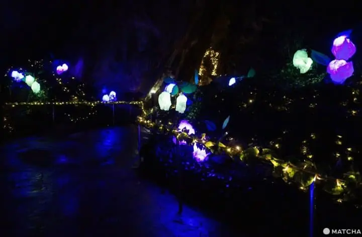 あぶくま洞で日本の洞窟へ突入！？