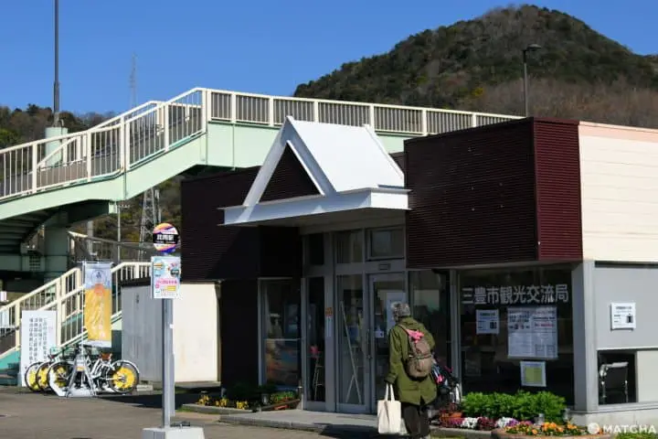 父母ヶ浜のサイクリング