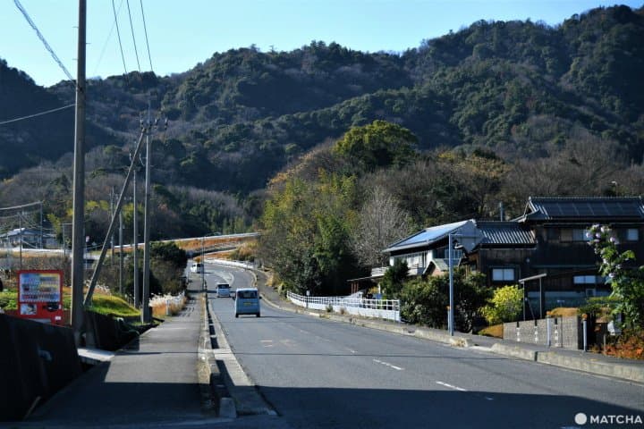 父母ヶ浜のサイクリング