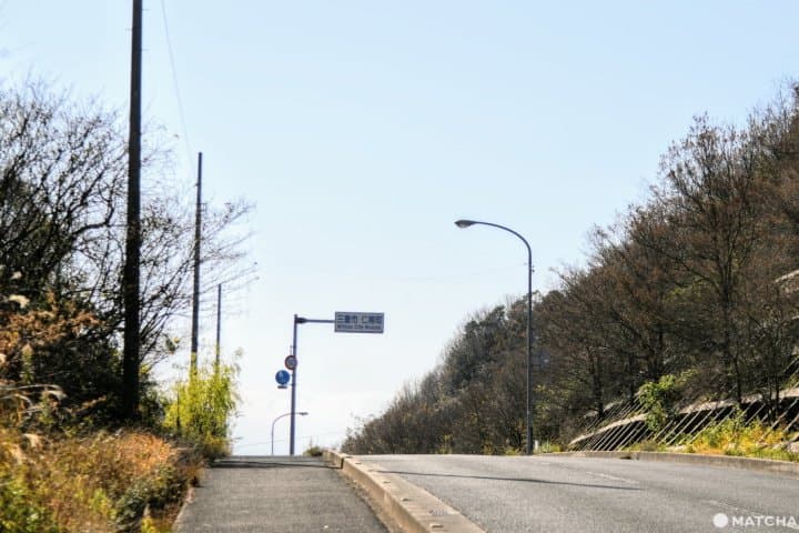 父母ヶ浜のサイクリング