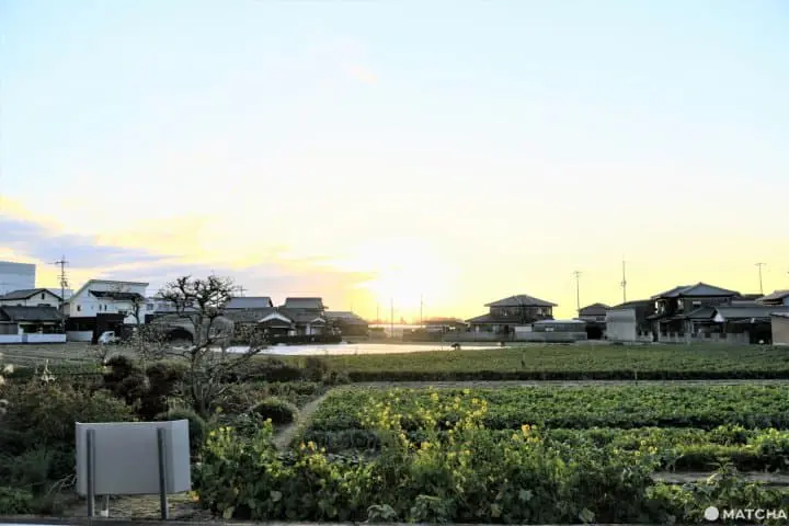 父母ヶ浜のサイクリング