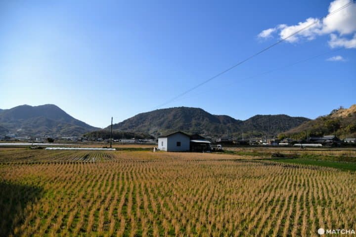 Scenery of Mitoyo City