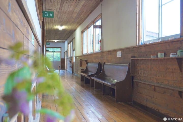 蜂巢小珈琲店