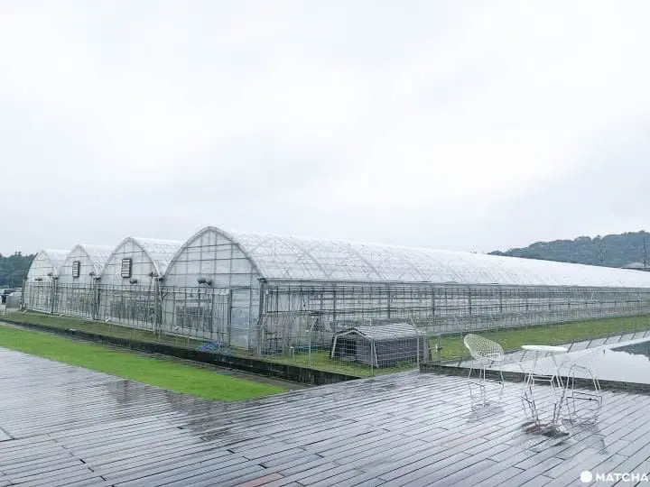 集美食與療癒於一身的AQUAIGNIS