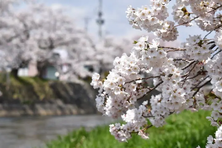 รวมที่เที่ยว สัมผัสธรรมชาติชนบทญี่ปุ่นที่