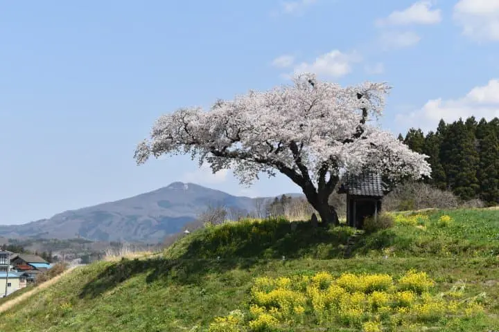 รวมที่เที่ยว สัมผัสธรรมชาติชนบทญี่ปุ่นที่