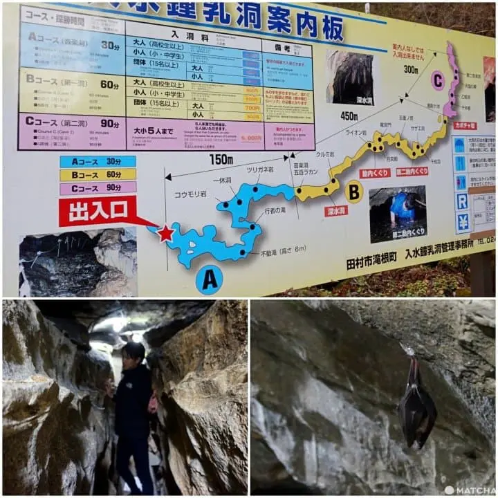 รวมที่เที่ยว สัมผัสธรรมชาติชนบทญี่ปุ่นที่