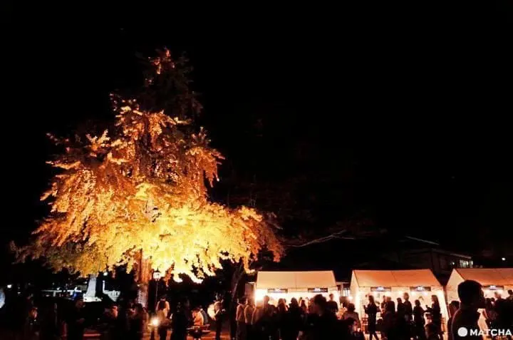 【岡山】夜訪岡山烏城與城主的後樂園