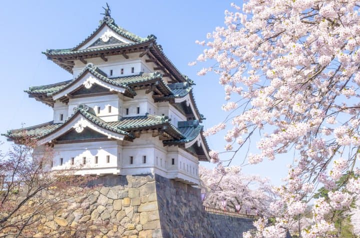 日本東北青森賞櫻櫻花_弘前城弘前公園
