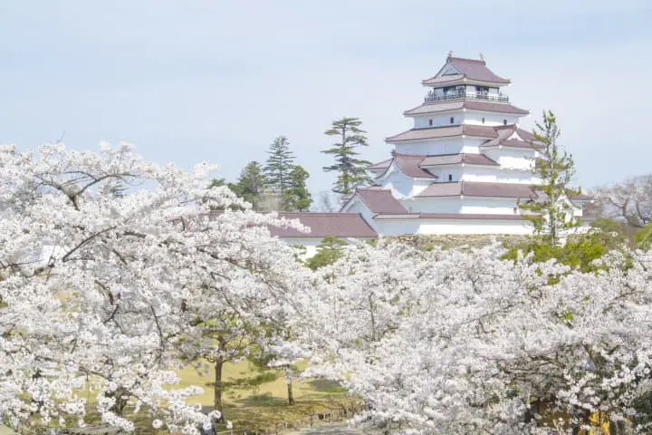 仙台福島會津若松自由行自駕遊_會津若松城鶴城