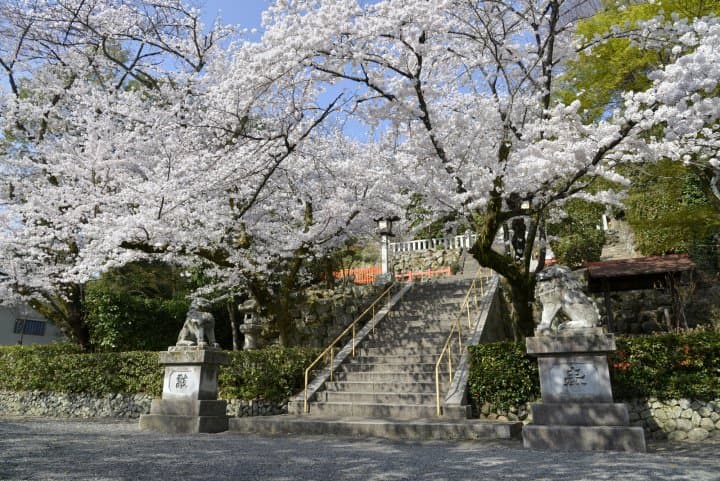 船岡山公園