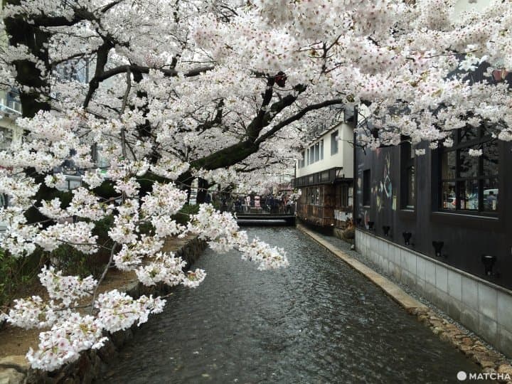 高瀨川