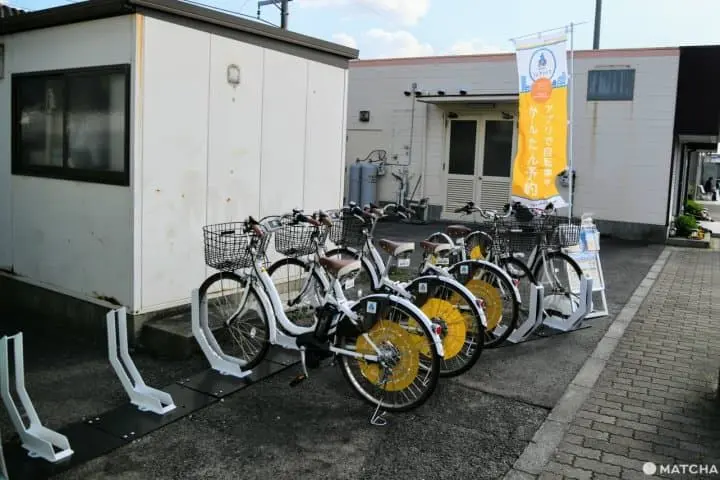 父母ヶ浜のサイクリング