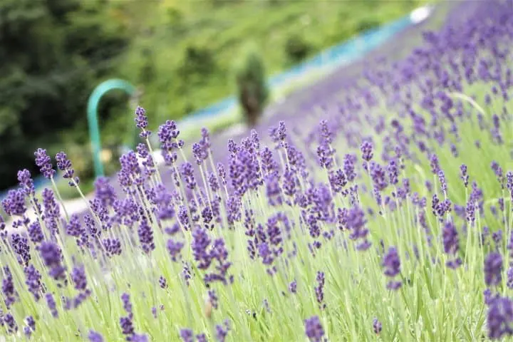 あぶくま洞で日本の洞窟へ突入！？