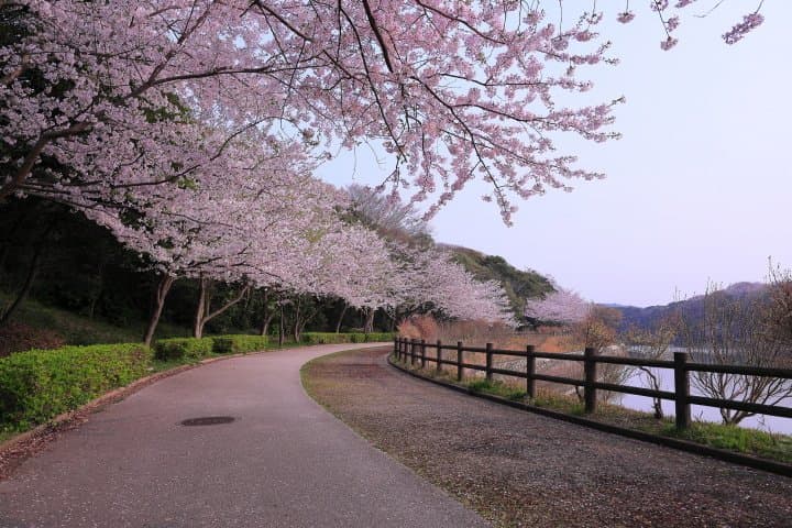 常盤公園