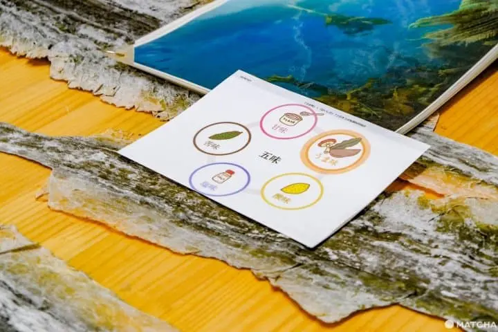 北海道・道東「知床羅臼Lincle」，體驗剪昆布及手沖昆布高湯