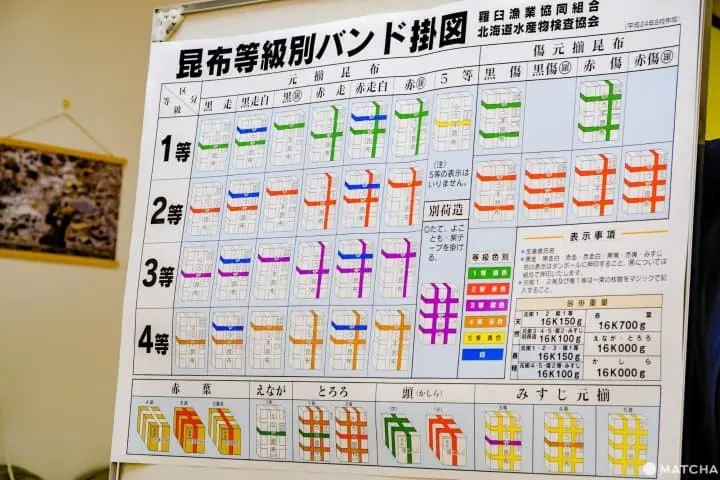北海道・道東「知床羅臼Lincle」，體驗剪昆布及手沖昆布高湯